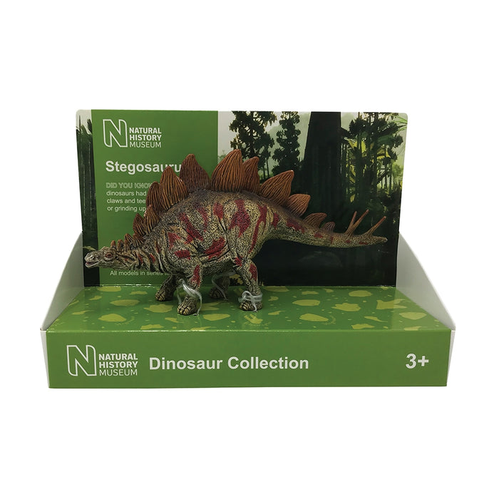 Natural History Museum Dinosaur Collection: Stegosaurus