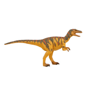 Natural History Museum Dinosaur Collection: Megalosaurus