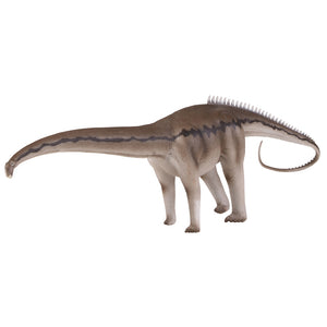 Natural History Museum Dinosaur Collection: Diplodocus & Kentrosaurus